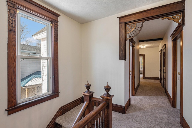 417 Maple St, Big Rapids, MI 49307 - photo 20