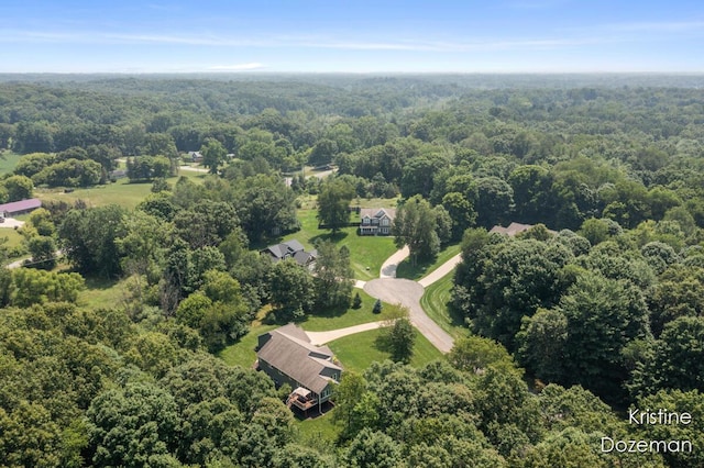 8891 Oneal Woods Ct SE, Alto, MI 49302 - photo 43