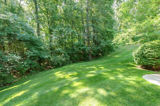 8401 Barony Pt, Michigan, MI 49071 - photo 41
