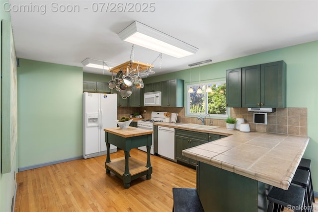 12075 Doane Rd, South Lyon, MI 48178 - photo 14