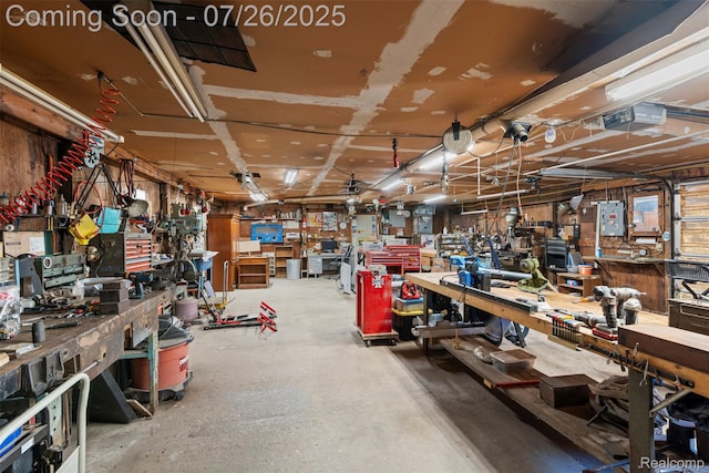 12075 Doane Rd, South Lyon, MI 48178 - photo 45