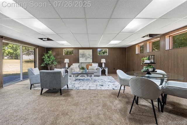 12075 Doane Rd, South Lyon, MI 48178 - photo 27