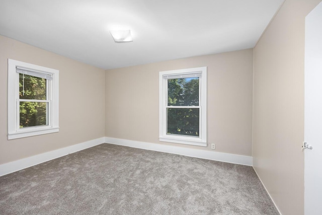 648 144th Ave, Caledonia, MI 49316 - photo 11