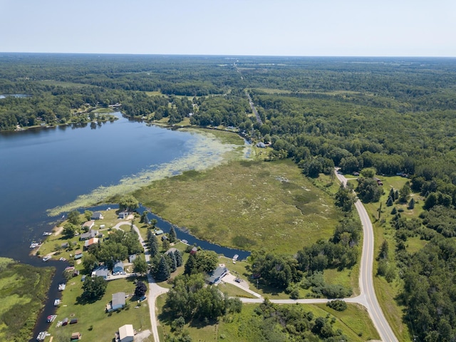 4419 E State Rd, Hale, MI 48739 - photo 43