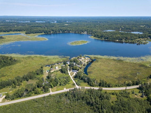 4419 E State Rd, Hale, MI 48739 - photo 44