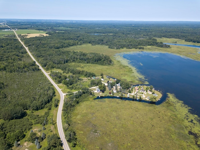 4419 E State Rd, Hale, MI 48739 - photo 46
