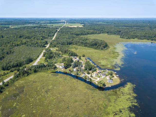4419 E State Rd, Hale, MI 48739 - photo 47