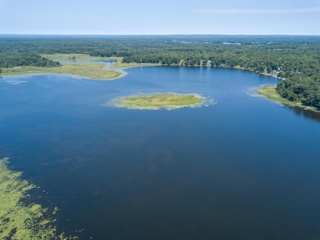 4419 E State Rd, Hale, MI 48739 - photo 48