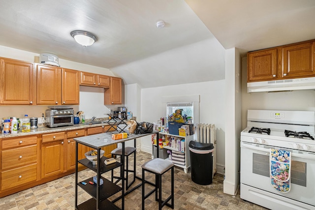 1119 S Forest Ave, Ann Arbor, MI 48104 - photo 12