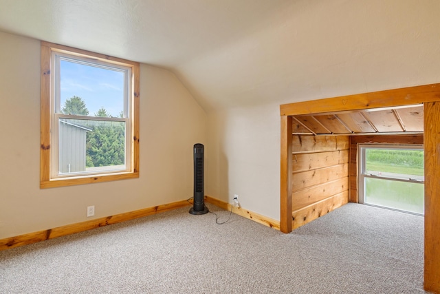 24920 Airline Rd, Sturgis, MI 49091 - photo 43