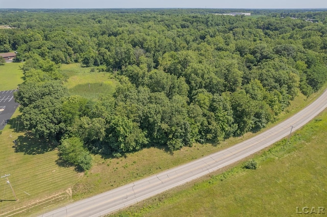 700 E Russell Rd, Tecumseh, MI 49286 - photo 1
