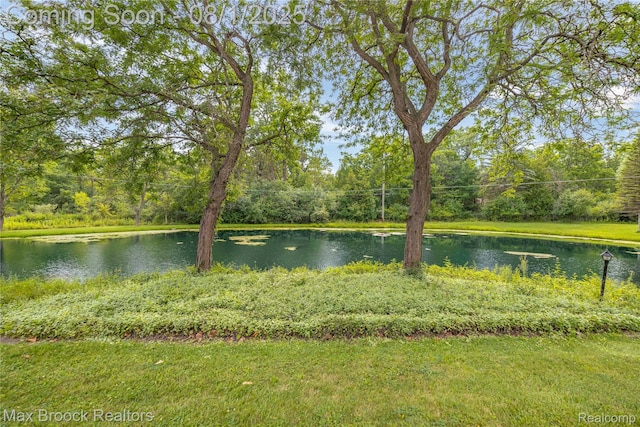 25541 Crystal Spring Ct, Farmington, MI 48336 - photo 43