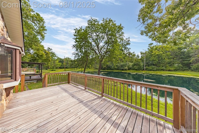 25541 Crystal Spring Ct, Farmington, MI 48336 - photo 42