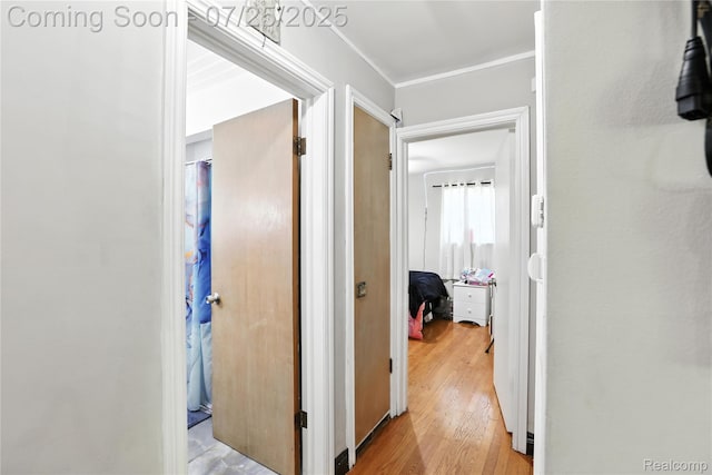 26685 Oak St, Roseville, MI 48066 - photo 9