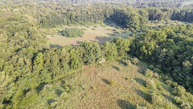 9308 W Guernsey Lake Rd, Delton, MI 49046 - photo 48