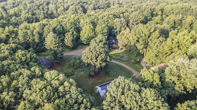 9308 W Guernsey Lake Rd, Delton, MI 49046 - photo 42