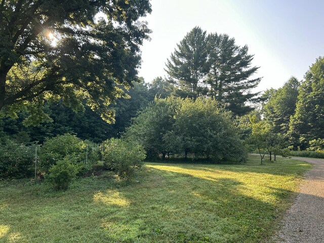 9308 W Guernsey Lake Rd, Delton, MI 49046 - photo 39