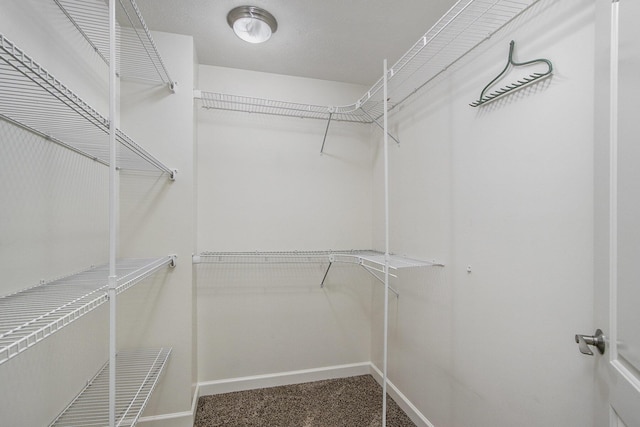 12031 Sandstone Dr, Wayland, MI 49348 - photo 24