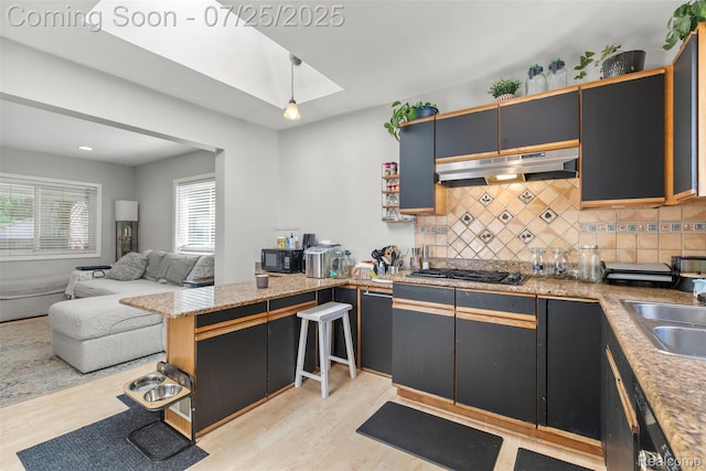 927 Goodale Ave, Clawson, MI 48017 - photo 8