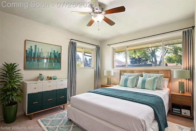 24826 Joseph, Novi, MI 48375 - photo 21