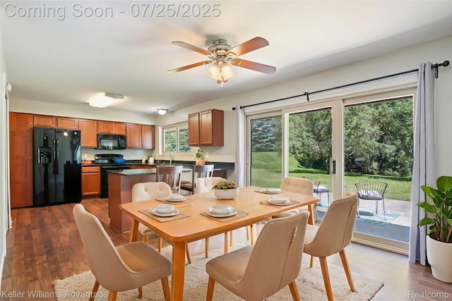 24826 Joseph, Novi, MI 48375 - photo 10