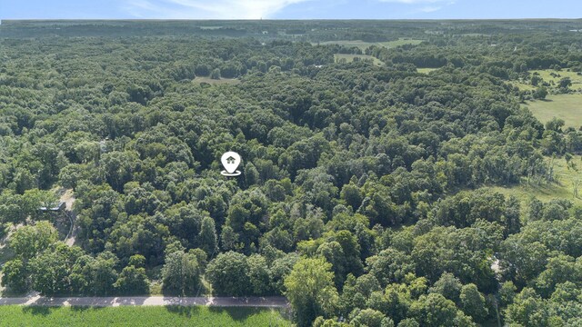 2525 Biggs Ave NE, Lowell, MI 49331 - photo 47