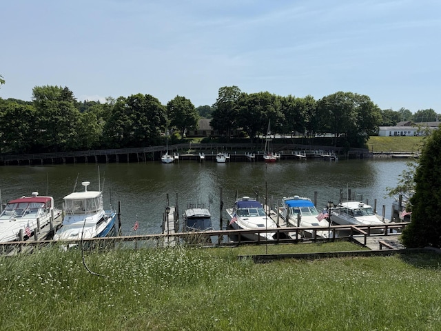 274 6th Ave, Manistee, MI 49660 - photo 71
