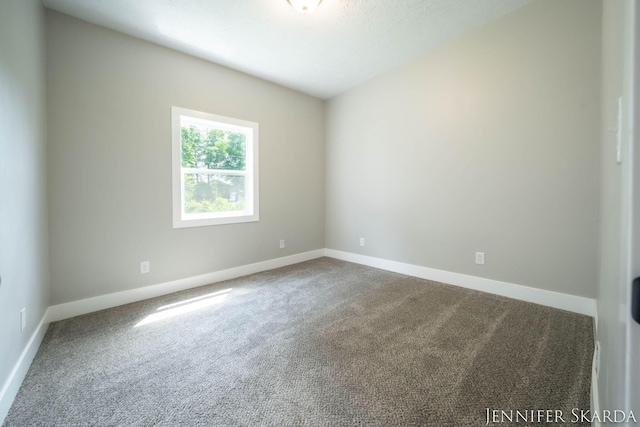 107 E Congress St, Belding, MI 48809 - photo 26