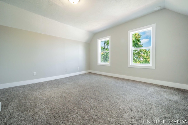107 E Congress St, Belding, MI 48809 - photo 32