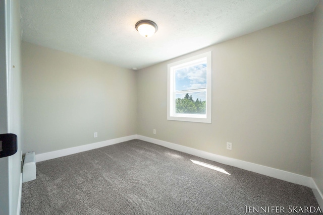 107 E Congress St, Belding, MI 48809 - photo 34