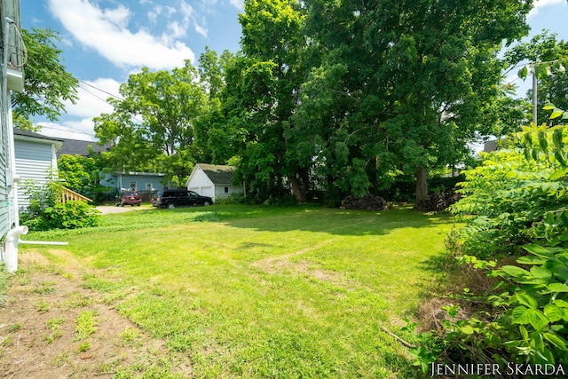 107 E Congress St, Belding, MI 48809 - photo 46