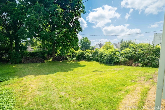 107 E Congress St, Belding, MI 48809 - photo 47