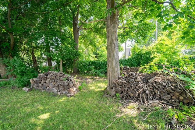 107 E Congress St, Belding, MI 48809 - photo 49