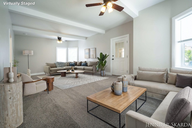 107 E Congress St, Belding, MI 48809 - photo 11