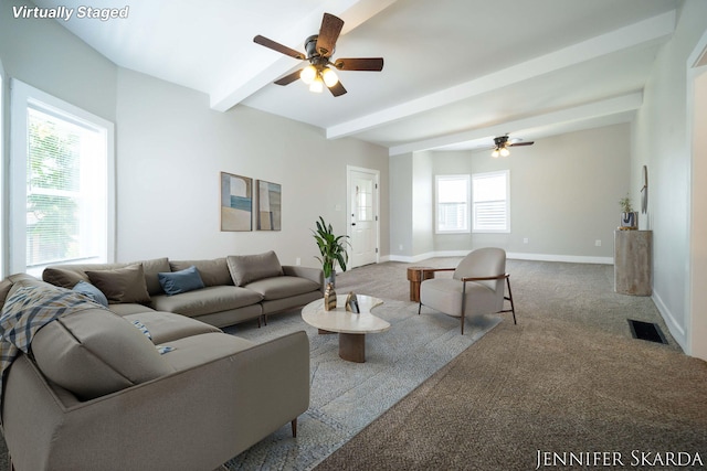 107 E Congress St, Belding, MI 48809 - photo 15