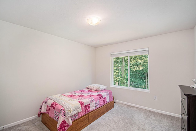 737 W N Hills Ct, Newaygo, MI 49337 - photo 22
