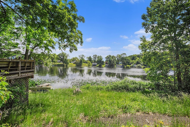 2681 Geneva Lake Dr S, Shelbyville, MI 49344 - photo 15