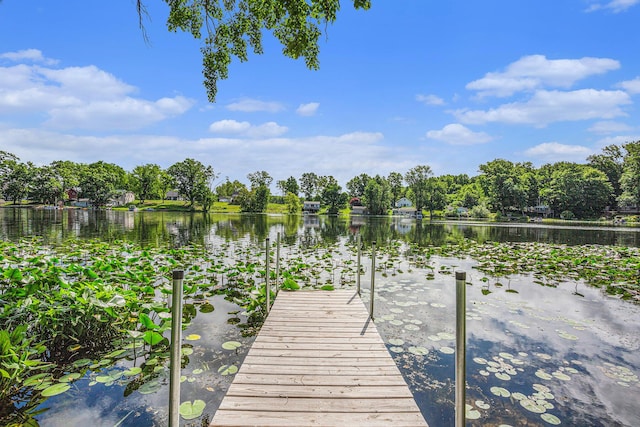 2681 Geneva Lake Dr S, Shelbyville, MI 49344 - photo 4