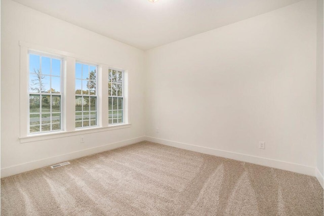 7951 Snow View Dr SE, Alto, MI 49302 - photo 12
