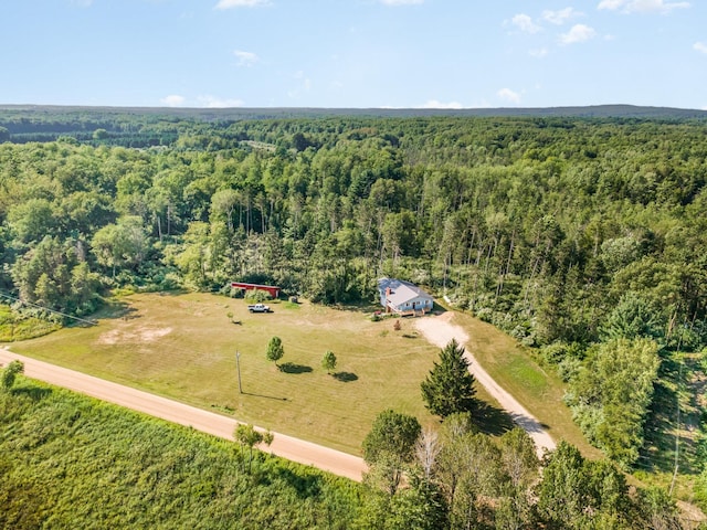 10210 W Deerfield Rd, Blanchard, MI 49310 - photo 25