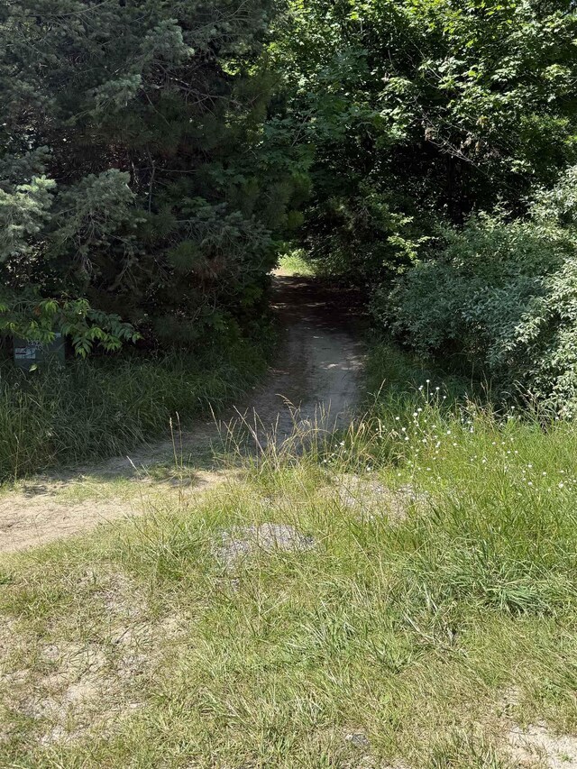 3942 Havenhill Ln, Williamsburg, MI 49690 - photo 3