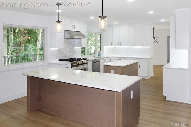 42380 W Waterwheel Ct, Northville, MI 48168 - photo 9