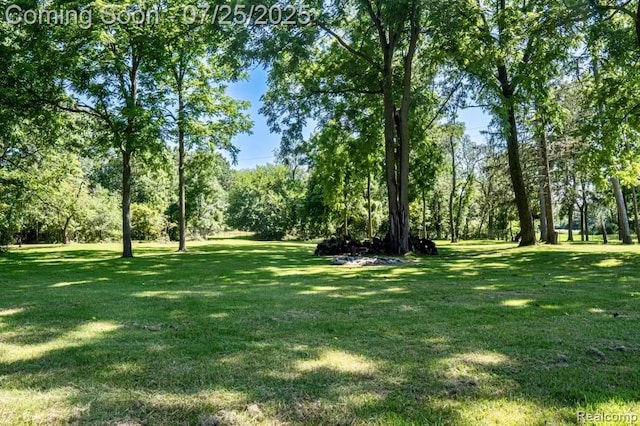 2290 Addis Rd, Holly, MI 48442 - photo 21