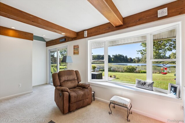 604 Gaffney, Highland, MI 48356 - photo 12