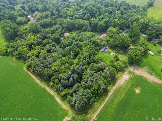 7635 Bordman Rd, Almont, MI 48003 - photo 12