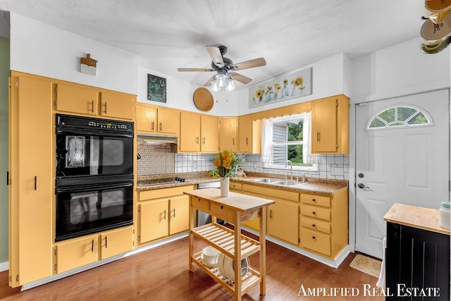 225 S Jefferson St, Lowell, MI 49331 - photo 19