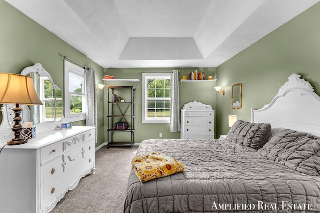 225 S Jefferson St, Lowell, MI 49331 - photo 28