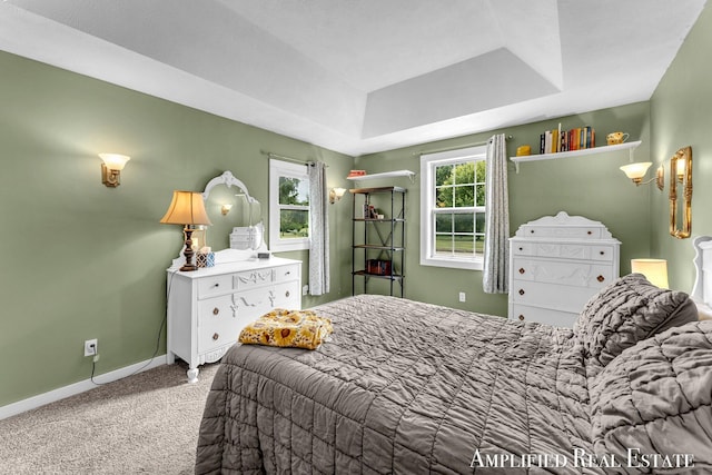 225 S Jefferson St, Lowell, MI 49331 - photo 31