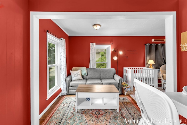 225 S Jefferson St, Lowell, MI 49331 - photo 40