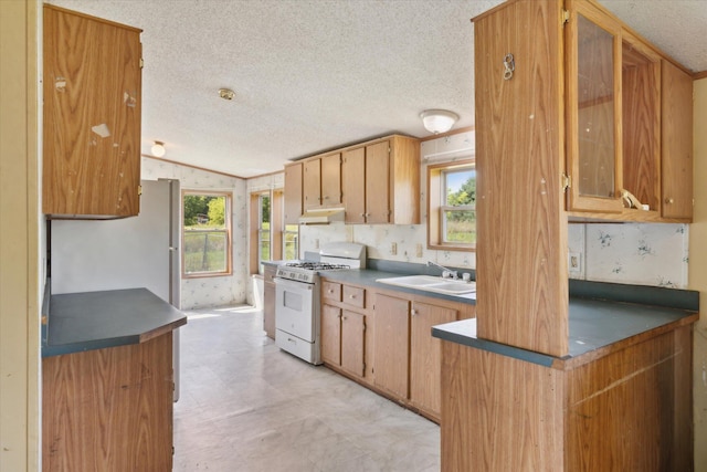 7295 Becker St, Cedar Springs, MI 49319 - photo 16
